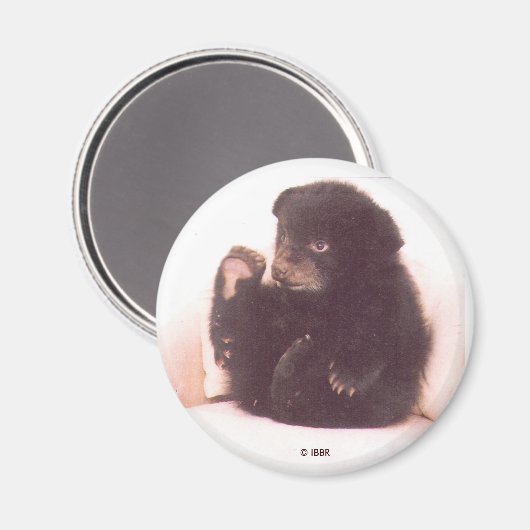 Nipper Magnet (Vorderseite/Rückseite)