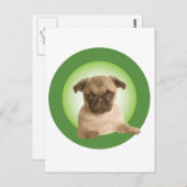 NIPRA Apparel Postkarte (Vorne/Hinten)