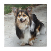 Nipsey Fliese (Vorderseite)