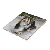 Nipsey Fliese (Seite)