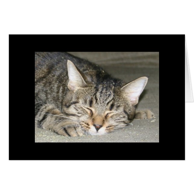 Nirvana (Vorderseite (Horizontal))