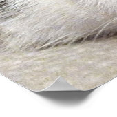 Nirvana Cat Poster (Ecke)