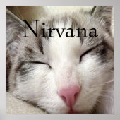 Nirvana Cat Poster (Vorne)