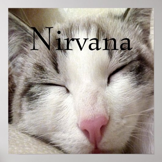 Nirvana Cat Poster (Vorne)