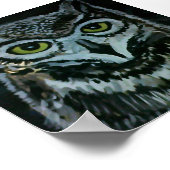 Nise Owl Poster (Ecke)