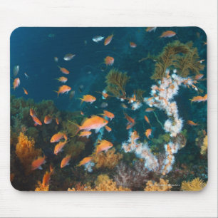 Nishiizumachi, Präfektur Shizuoka, Japan 2 Mousepad