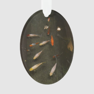 Nishikigoi (Koi Fish) Ornament
