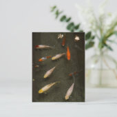 Nishikigoi (Koi Fish) Postkarte (Stehend Vorderseite)
