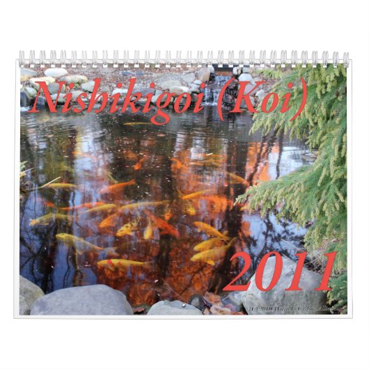 Nishikigoi (Koi) Kalender, 2011 Kalender (Titelbild)