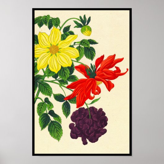 Nishimura Hodo Dahlias orientalische japanische Bl Poster (Vorne)