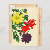 Nishimura Hodo Dahlias orientalische japanische Bl Postkarte (Vorne/Hinten)