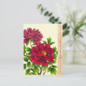 Nishimura Hodo Peony japanese Blume Fine Art Postkarte (Stehend Vorderseite)