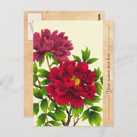 Nishimura Hodo Peony japanese Blume Fine Art Postkarte (Vorne/Hinten)