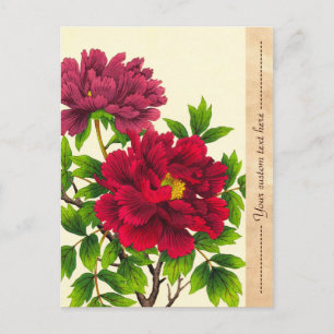 Nishimura Hodo Pfingstrose japanische Blumen feine Postkarte