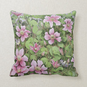 Nisten im Clematis Kissen