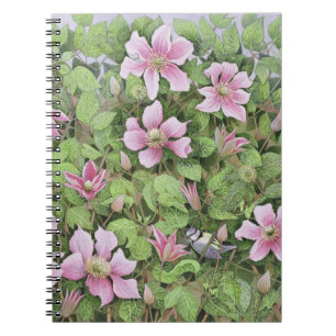 Nisten im Clematis Notizblock