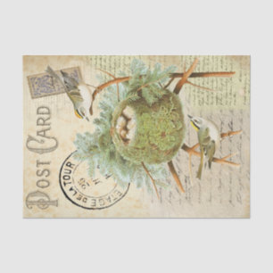 Nistende Vogel-Postkarte Seidenpapier