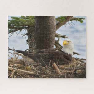 Nistender Weißkopfseeadler Puzzle