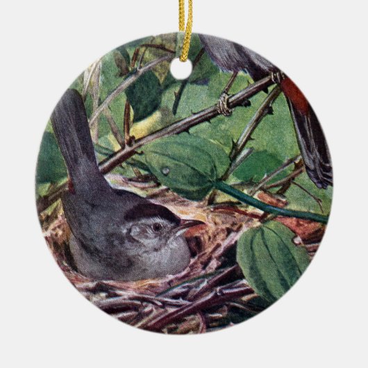 Nistengraue Catbirds Keramikornament (Vorne)