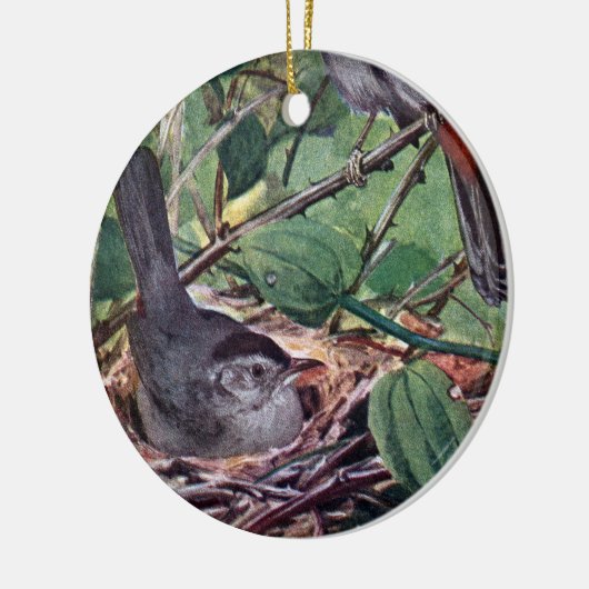 Nistengraue Catbirds Keramikornament (Links)