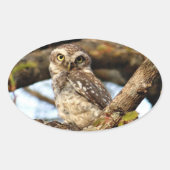 Nistocken Ovaler Aufkleber (Vorderseite)