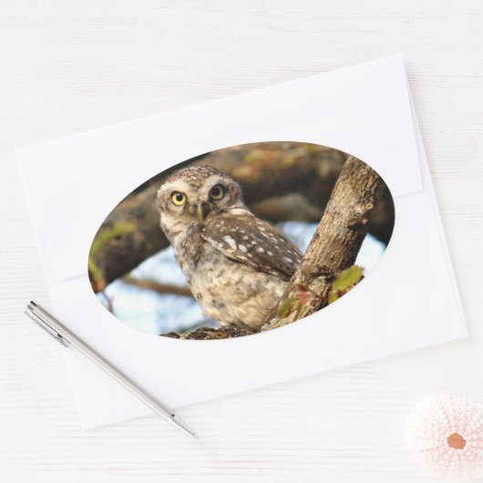 Nistocken Ovaler Aufkleber (Umschlag)