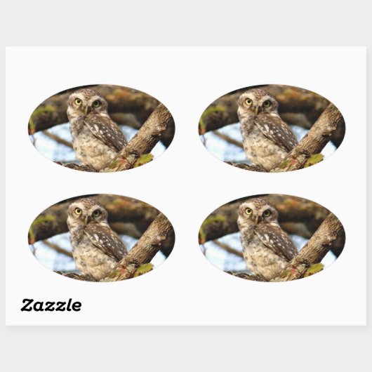 Nistocken Ovaler Aufkleber (Blatt)