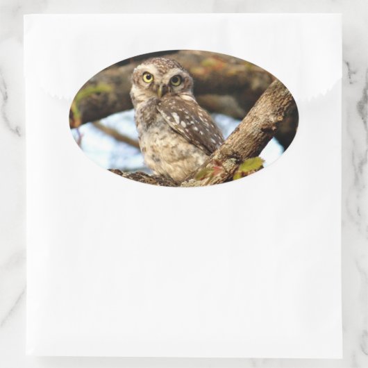 Nistocken Ovaler Aufkleber (Tasche)