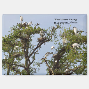 Nistplätze für Holzstämme Magnet