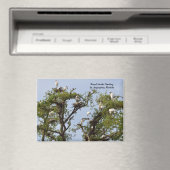Nistplätze für Holzstämme Magnet (In Situ (Geschirrspüler))