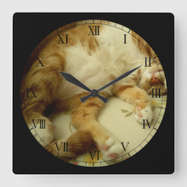 Nite Nite, das Katzen-Wanduhr träumt Quadratische Wanduhr