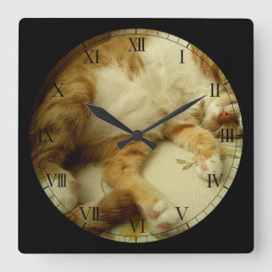 Nite Nite, das Katzen-Wanduhr träumt Quadratische Wanduhr