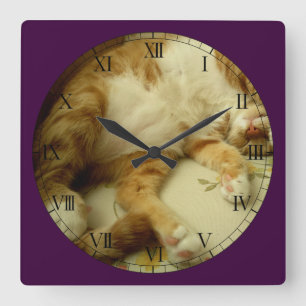 Nite Nite, das Katzen-Wanduhr träumt Quadratische Wanduhr