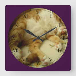 Nite Nite, das Katzen-Wanduhr träumt Quadratische Wanduhr