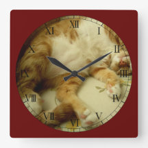 Nite Nite, das Katzen-Wanduhr träumt