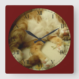 Nite Nite, das Katzen-Wanduhr träumt Quadratische Wanduhr