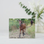 NiteSilhouette Postkarte (Stehend Vorderseite)