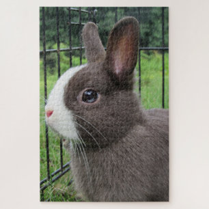 Nitherland Zwerg Pet Bunny Rabbit Jigsaw Puzzle
