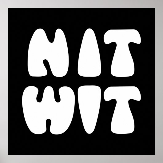 NITWIT POSTER (Vorne)