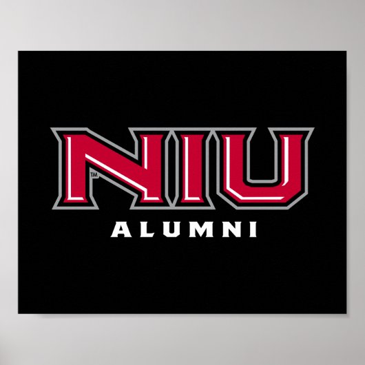 NIU Alumni Poster (Vorne)