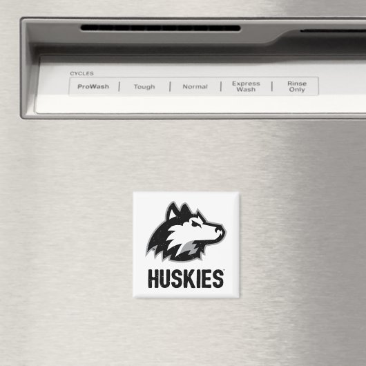 NIU Huskies Distressed Magnet (In Situ (Geschirrspüler))