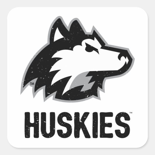 NIU-Huskies gestört Quadratischer Aufkleber (Vorderseite)