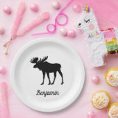 Nizza Pappteller (Party)