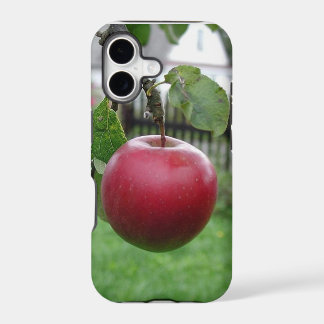 Nizza saftiges Apple