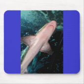 NJ Shark CB Mousepad (Vorne)