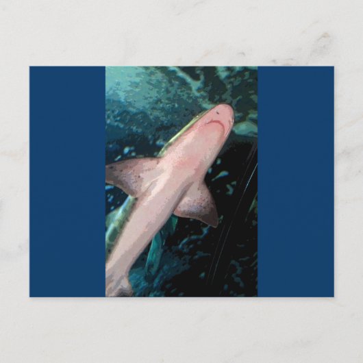 NJ Shark CB Postkarte (Vorderseite)