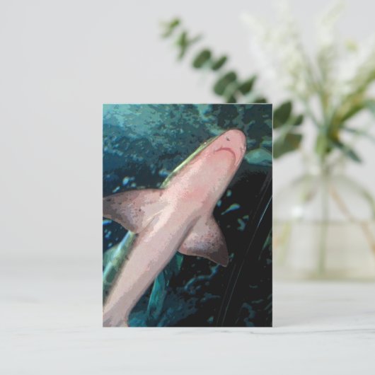 NJ Shark CB Postkarte (Stehend Vorderseite)