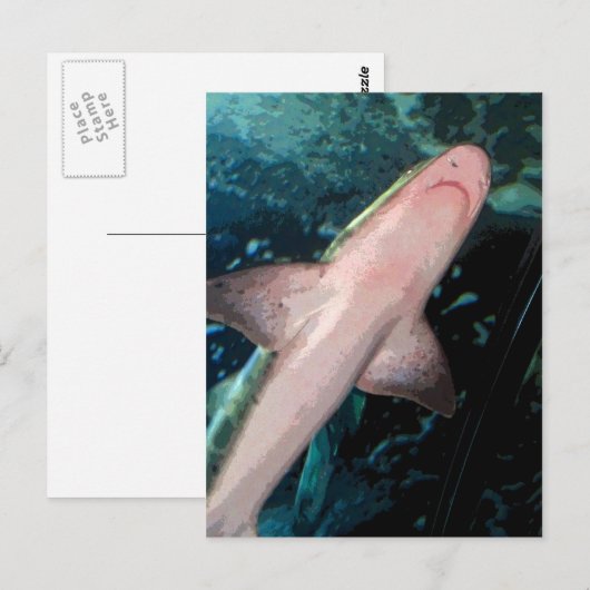 NJ Shark CB Postkarte (Vorne/Hinten)