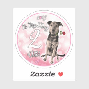 NMD bei DSK - Abzeichen-Aufkleber im Februar 2023 Aufkleber