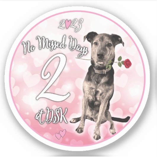 NMD bei DSK - Abzeichen-Aufkleber im Februar 2023 Aufkleber (Vorderseite)